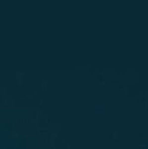 Meet your Posher, Lang